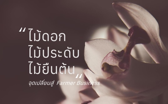 ไม้ดอก ไม้ประดับ ไม้ยืนต้น จุดเปลี่ยนสู่ Farmer Business
