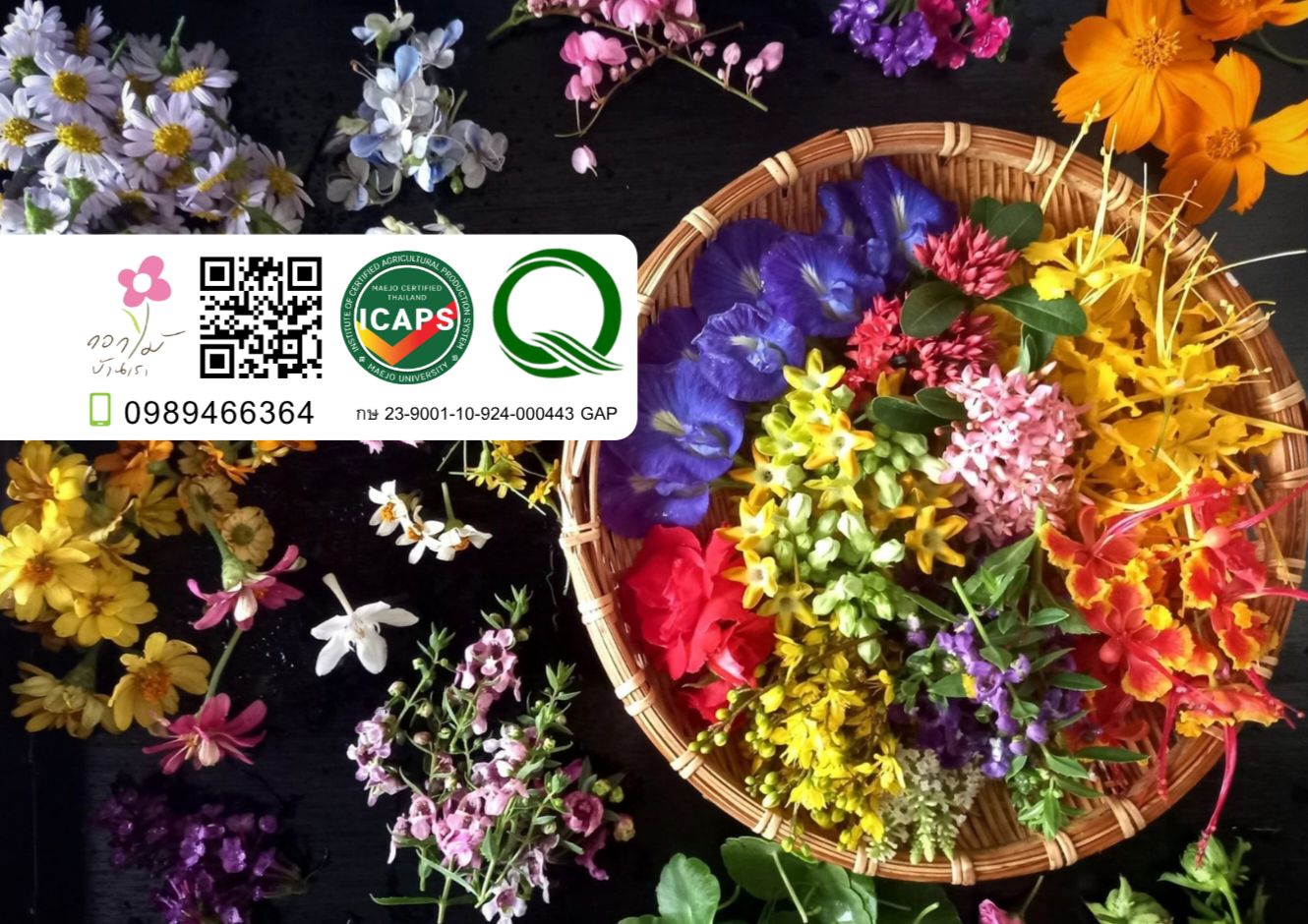 จิราพร รอดมา