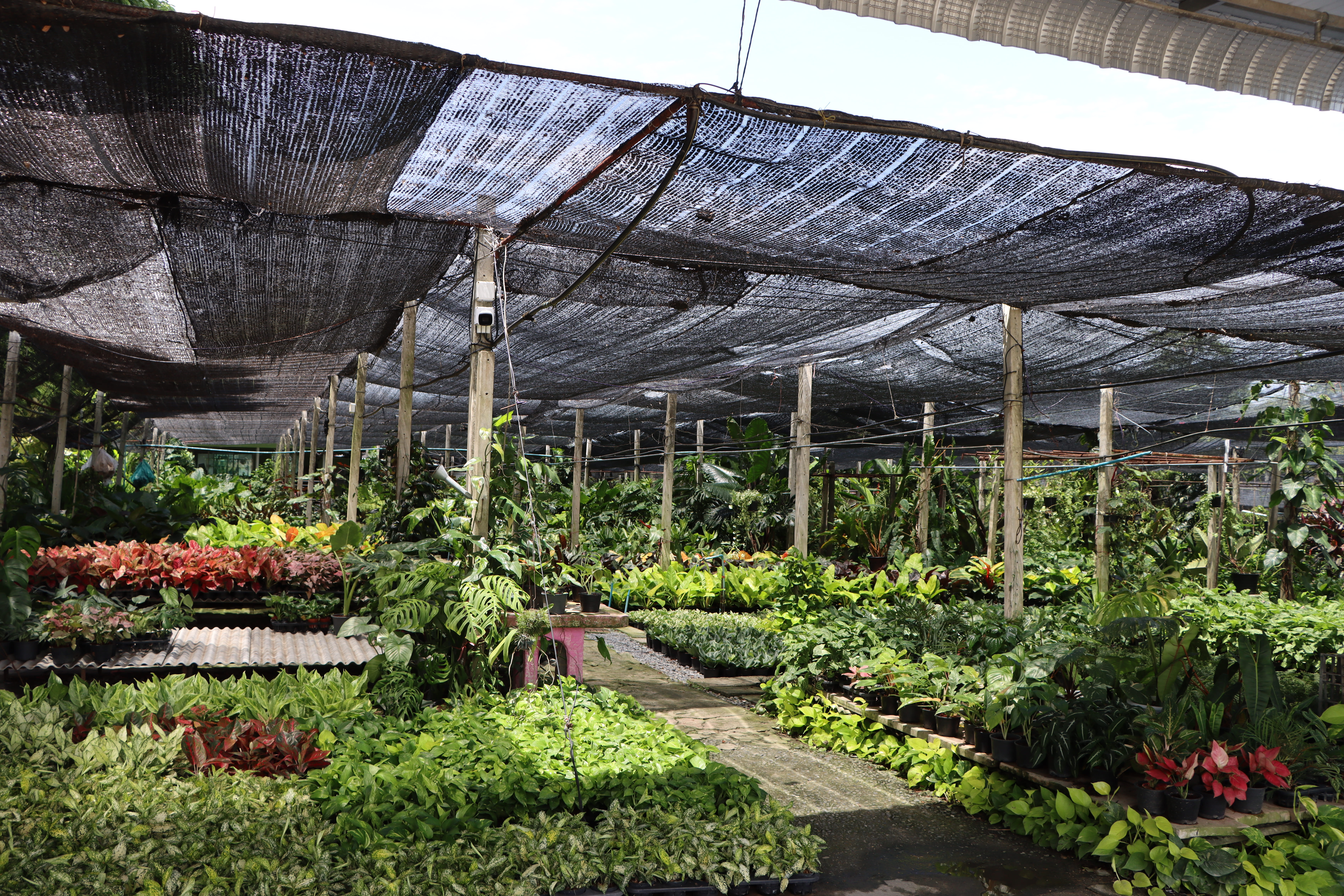 เทวฤทธิ์ เทพนรินทร์