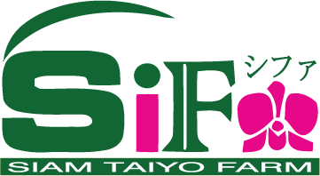 ว่าที่ร้อยตรีชัชวาลย์ เกตุแก้ว