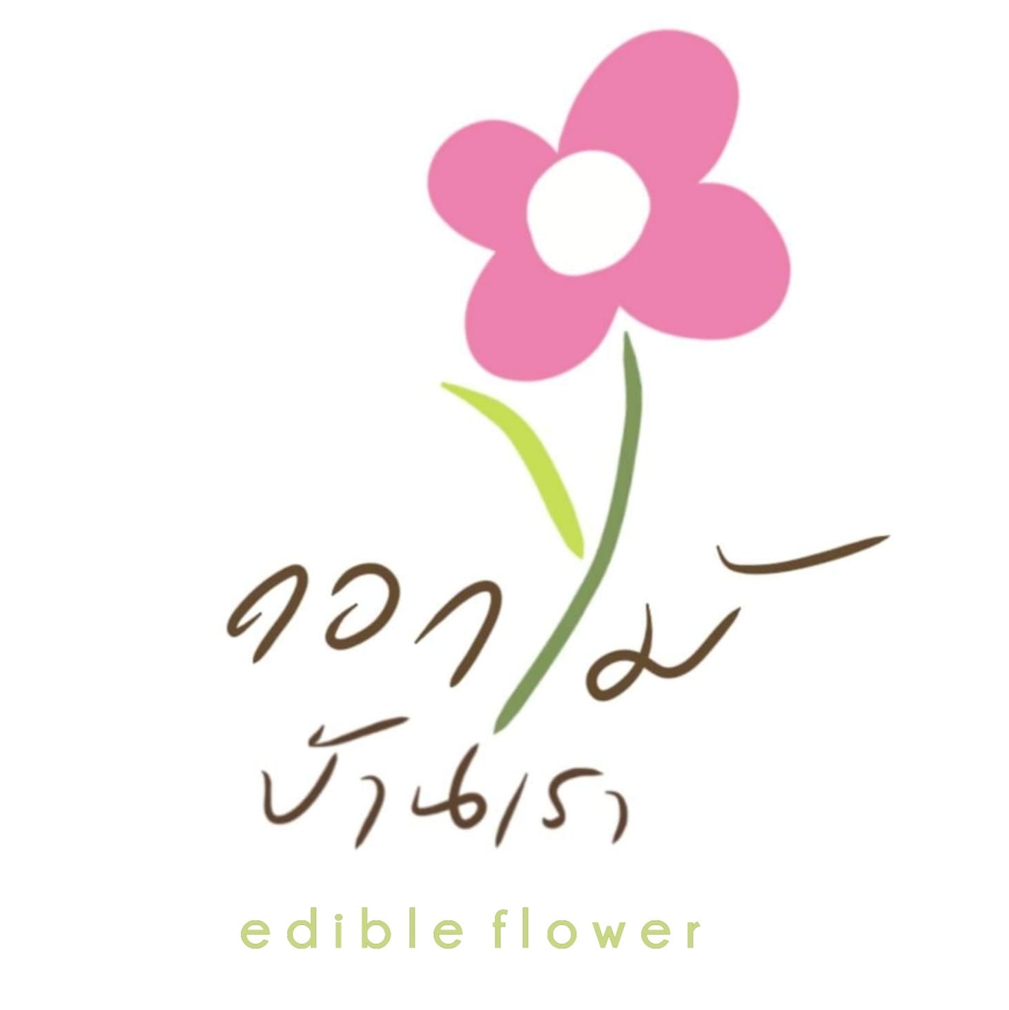 จิราพร รอดมา