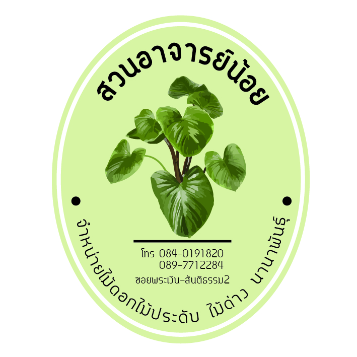 เทวฤทธิ์ เทพนรินทร์